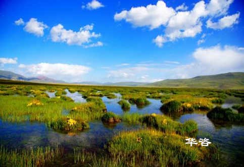 長(zhǎng)沙水土保持？湖南省水土保持編制專業(yè)公司_10年專注水土保持報(bào)告的編制。