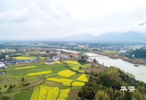 通航評價公司應該如何選擇？