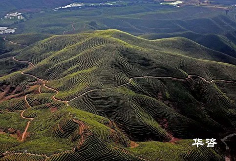 快訊！湖南永州藍(lán)山公路項(xiàng)目水土保持方案（水保）順利通過(guò)專(zhuān)家評(píng)議