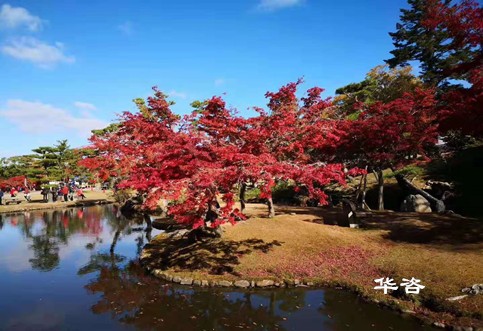 華咨水資源論證科技：創(chuàng)新論證方式，提升水資源利用效率
