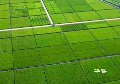 高標(biāo)準(zhǔn)基本農(nóng)田_湖南農(nóng)田設(shè)計(jì)單位_專業(yè)基本農(nóng)田規(guī)劃公司 高標(biāo)準(zhǔn)基本農(nóng)田_湖南農(nóng)田設(shè)計(jì)單位_專業(yè)基本農(nóng)田規(guī)劃公司
