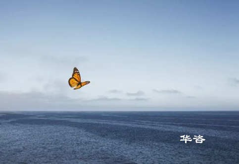 航評快訊！華咨公司編制的海南省三亞市攔河壩項目通航條件影響評價報告順利完成