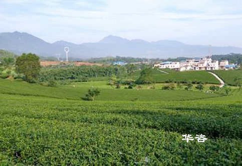 華咨生態(tài)鏈企業(yè)又增一員大將，實現(xiàn)生態(tài)環(huán)境技術服務全覆蓋