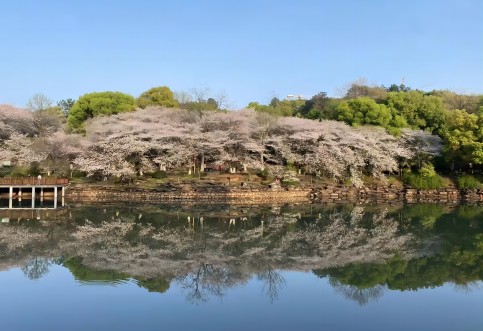 江西省專業(yè)交通技術(shù)服務(wù)公司_華咨航評(píng)和交評(píng)的核心優(yōu)勢(shì)有哪些? 江西省專業(yè)交通技術(shù)服務(wù)公司_華咨航評(píng)和交評(píng)的核心優(yōu)勢(shì)有哪些?