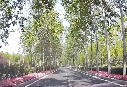 安全評(píng)價(jià)單位_道路交通安全隱患排查的積極意義_安全隱患排查技術(shù)公司 安全評(píng)價(jià)單位_道路交通安全隱患排查的積極意義_安全隱患排查技術(shù)公司