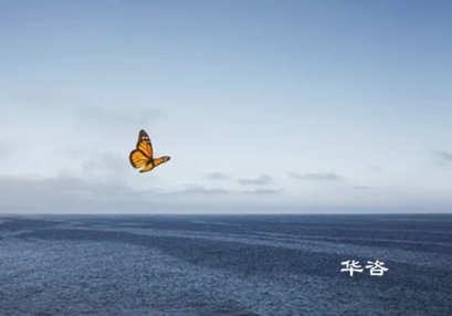 周口市航評單位_河南省專業(yè)航道通航條件影響評價(jià)報(bào)告編制單位_專業(yè)服務(wù) 周口市航評單位_河南省專業(yè)航道通航條件影響評價(jià)報(bào)告編制單位_專業(yè)服務(wù)