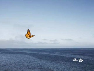 婁底水土保持方案-專業(yè)水保單位-水保為什么需要專業(yè)公司？