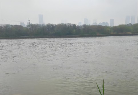 廣東航評(píng),廣東西江通航論證,航道通航條件影響評(píng)價(jià)西江廣東省 廣東航評(píng),廣東西江通航論證,航道通航條件影響評(píng)價(jià)西江廣東省