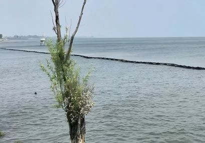 邵陽(yáng)城市橋梁跨越航道通航安全保障方案編制順利通過專家審查