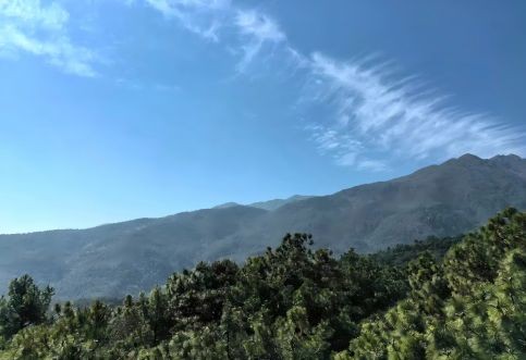 編制湖南省內地質災害安全性評價報告時可以引用哪些法律法規(guī)？